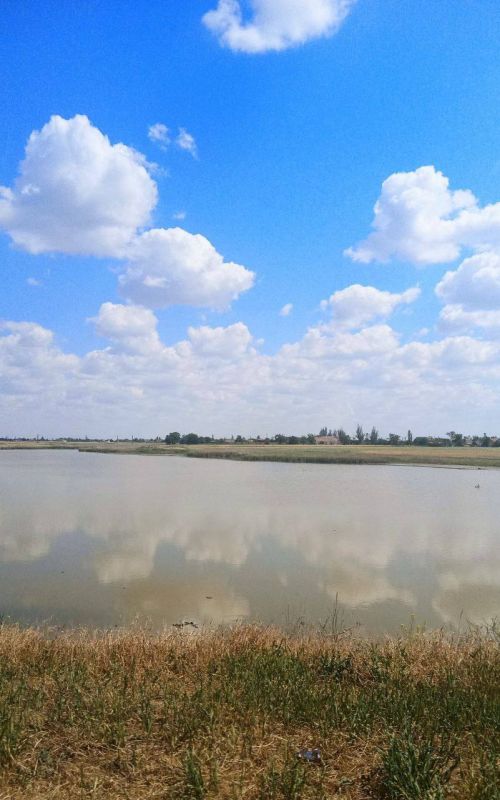 ������ ������: ������� ���� ������ ���������� ��� ���� ������ �� �������� ������������ �� ������ �����������