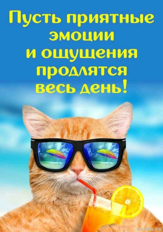 ������ ��������� � ������ ���