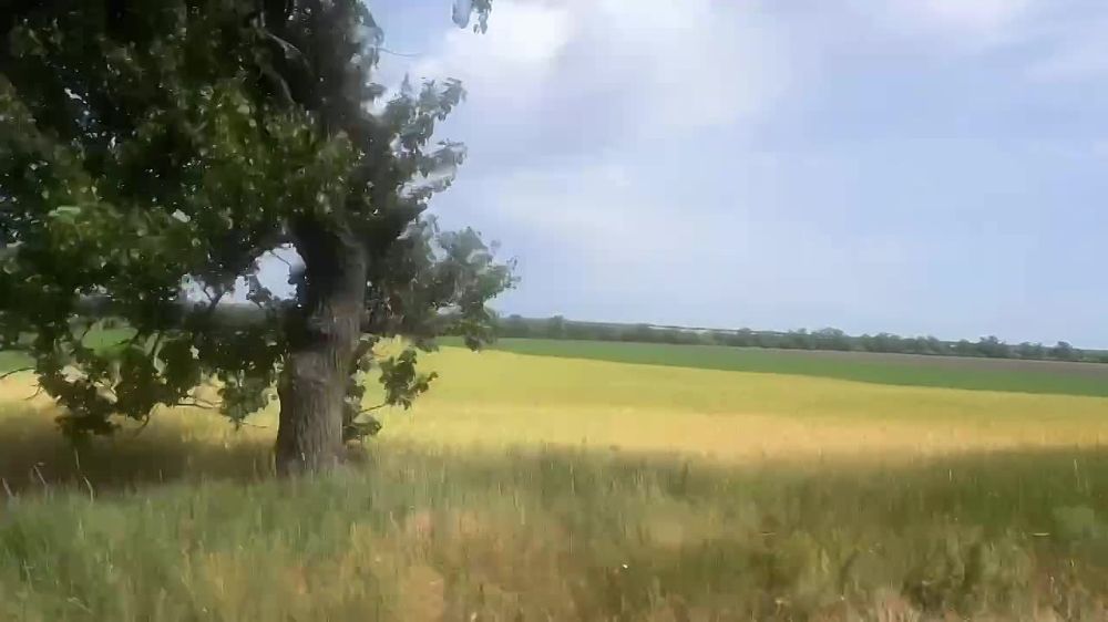 ������ ������: ���������� �������� ��������������!