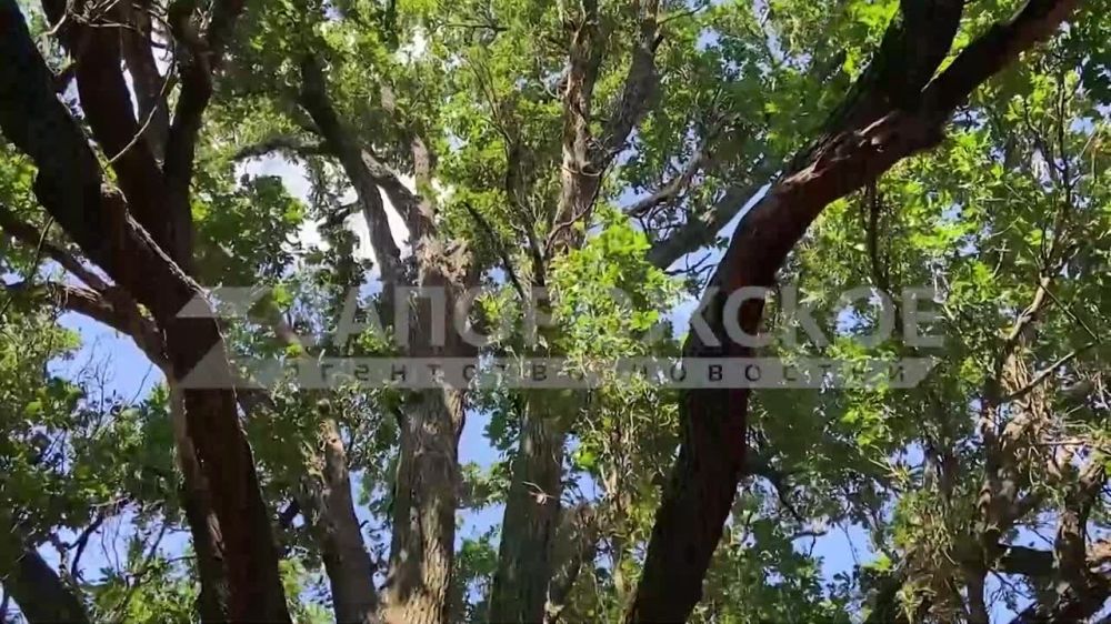 � ��������� ����� ������ ���� �������� ����������� ����, ��� ������� ������ ������ ������ ����, � ����� ������������ ����������