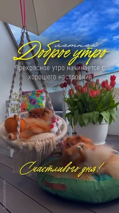 � ������ ��������