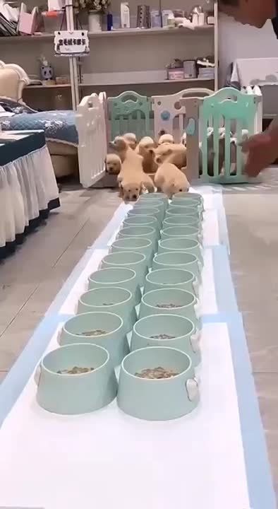 ���� ����������!. ����� �������������������