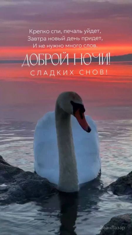 ������ ����������