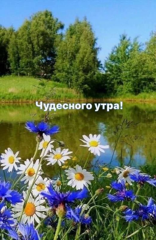 � ������ ��������