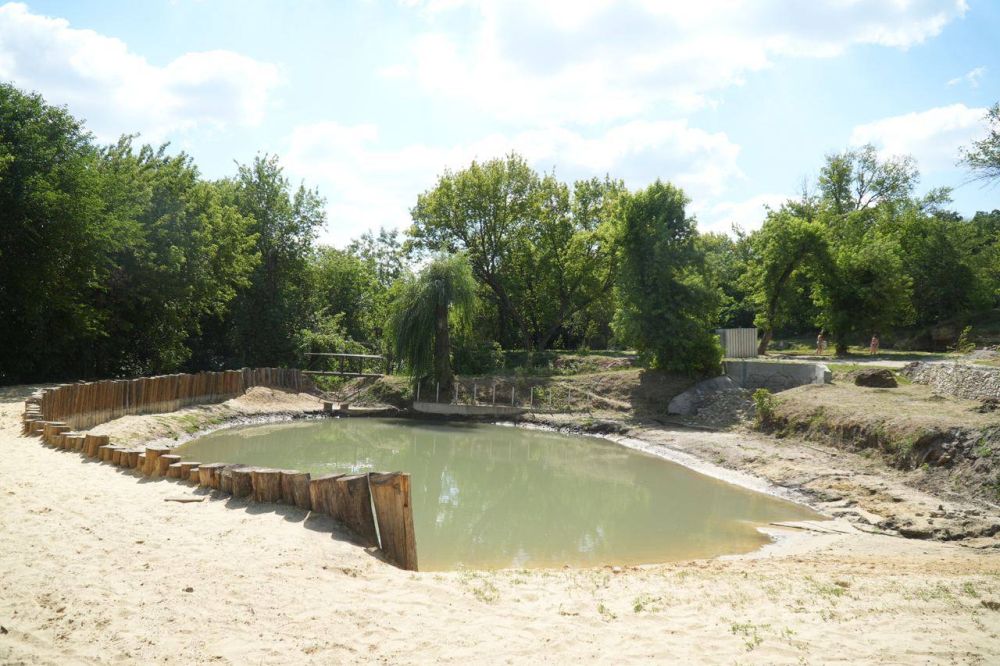 ������ �����������: ������� �� �������� ��������� ���� ��������, ��� ������������ ��������������� ����������