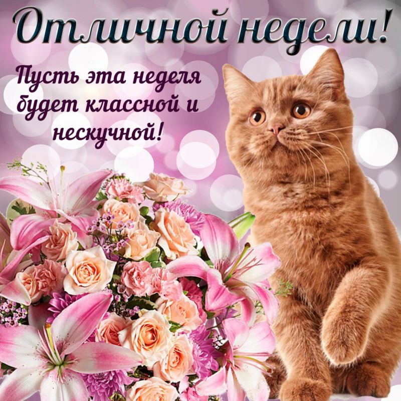 ��������� ���