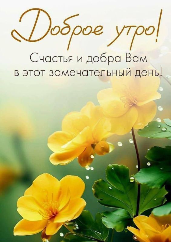 � ������ ��������