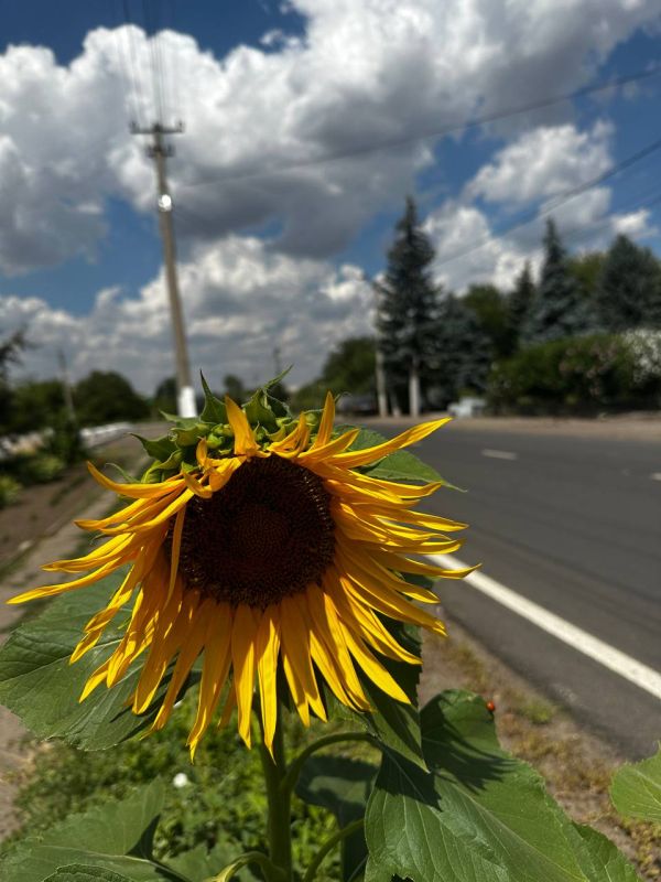 ������ ������: � ������ ����� �� ��������������!