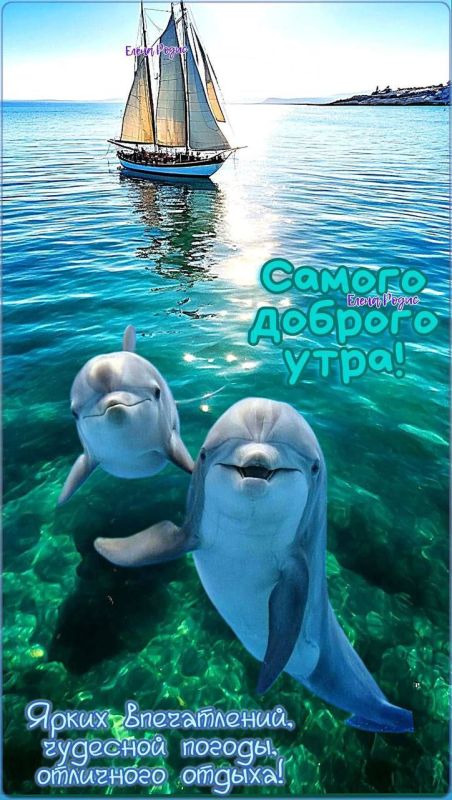 � ������ ��������