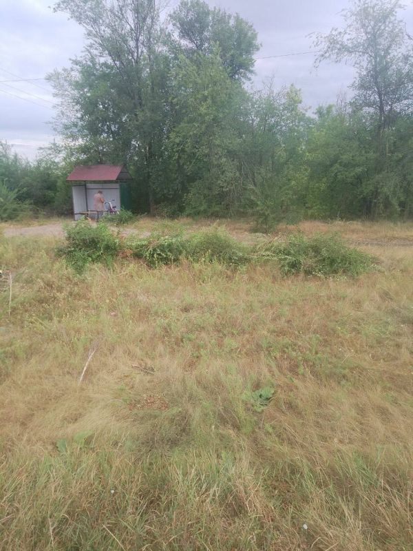 ������ ������: ���������� ��� ���������� ������� ������� �� ���������� ���� ��������������