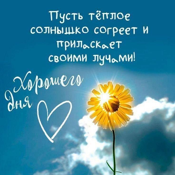 ������ ��������� ���������� � ���� ���������� �����