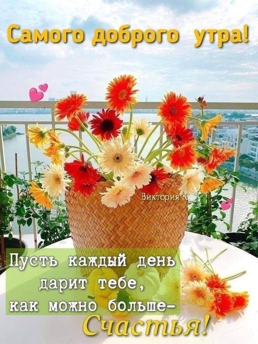 � ������ ��������