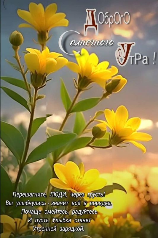 � ������ ��������
