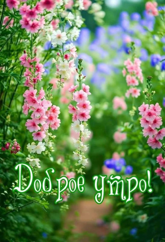 � ������ ��������