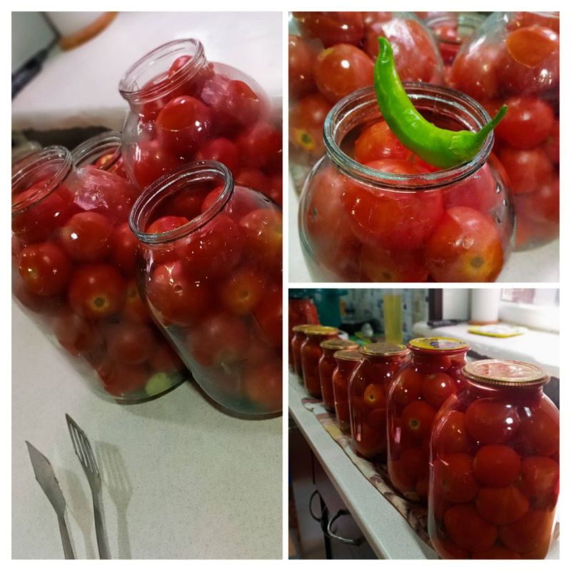 ������ ������: ������� ����! ��������� �� ���� �� ���������� ������