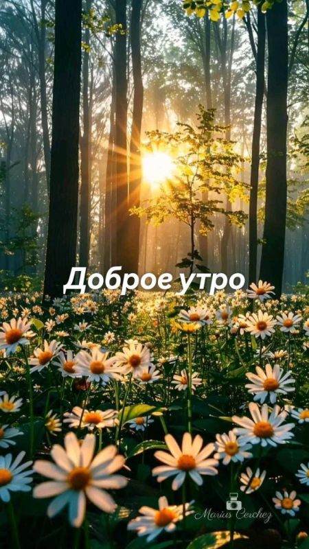 � ������ ��������