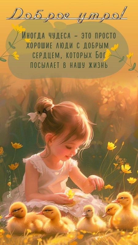 � ������ ��������!. ������ ��������� �������