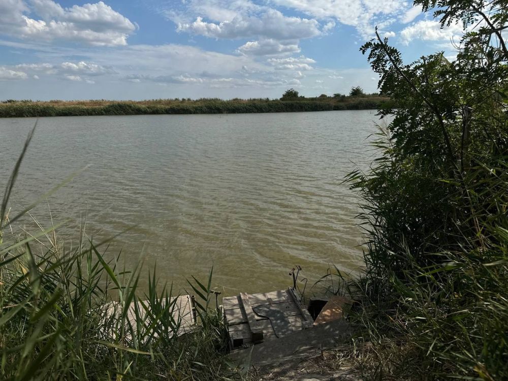 ������ ������: ������� ���� ��� ������ ���������� ���������!