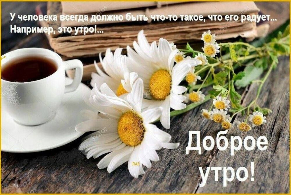 � ������ ��������