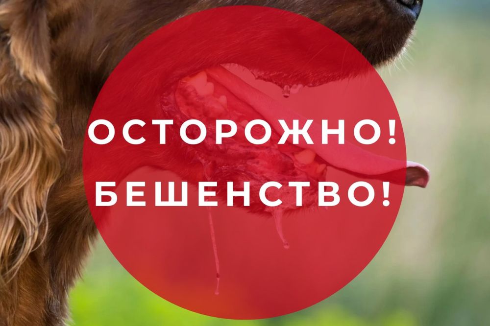 ����� ��� ���������� ������������� ����������� � ������������� ����� ���������