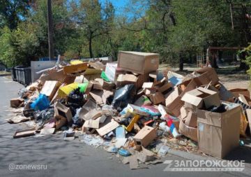 Запорожской области нужно не менее 5 лет на ликвидацию свалок после Украины