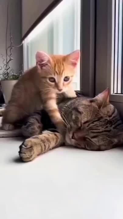 ������ ���� ������� ������������!