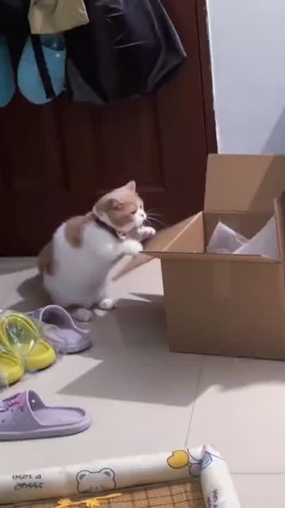 ������� ���� , ������� ������������!