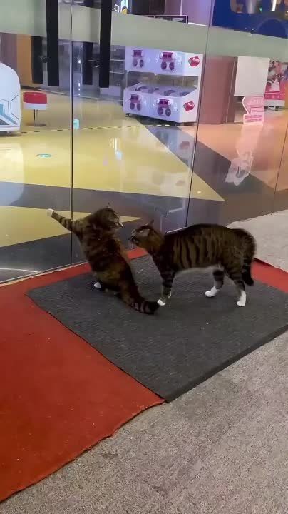 ���� ��� ���� �����. ����� �������������������