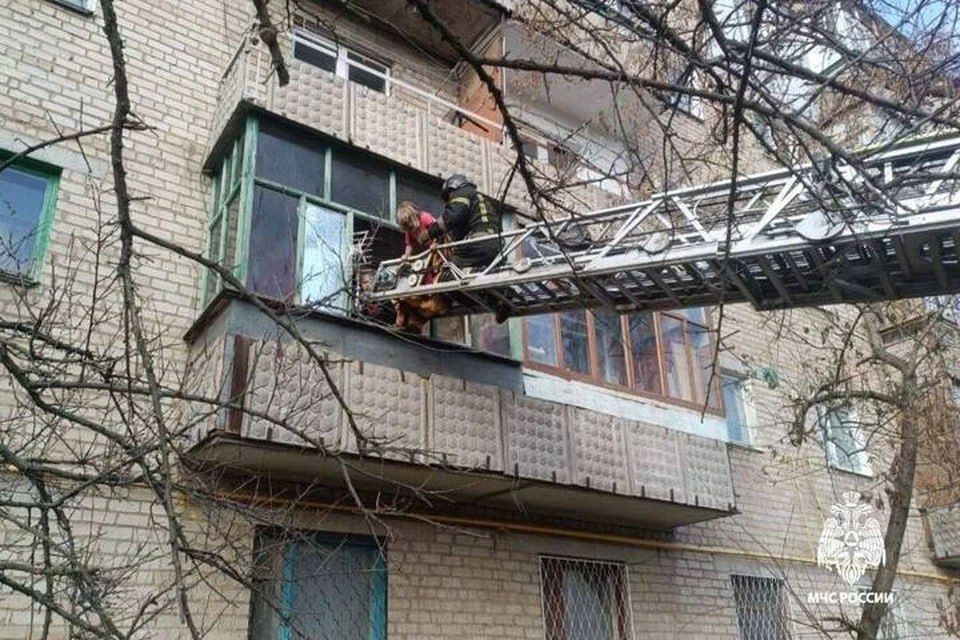 � ����������� ������� �� ������ ������ �����