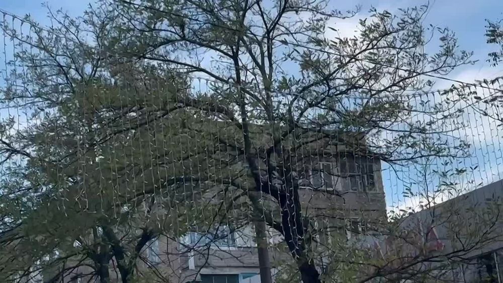 ����� ����������� ��������� ���������� �� ������ ����������
