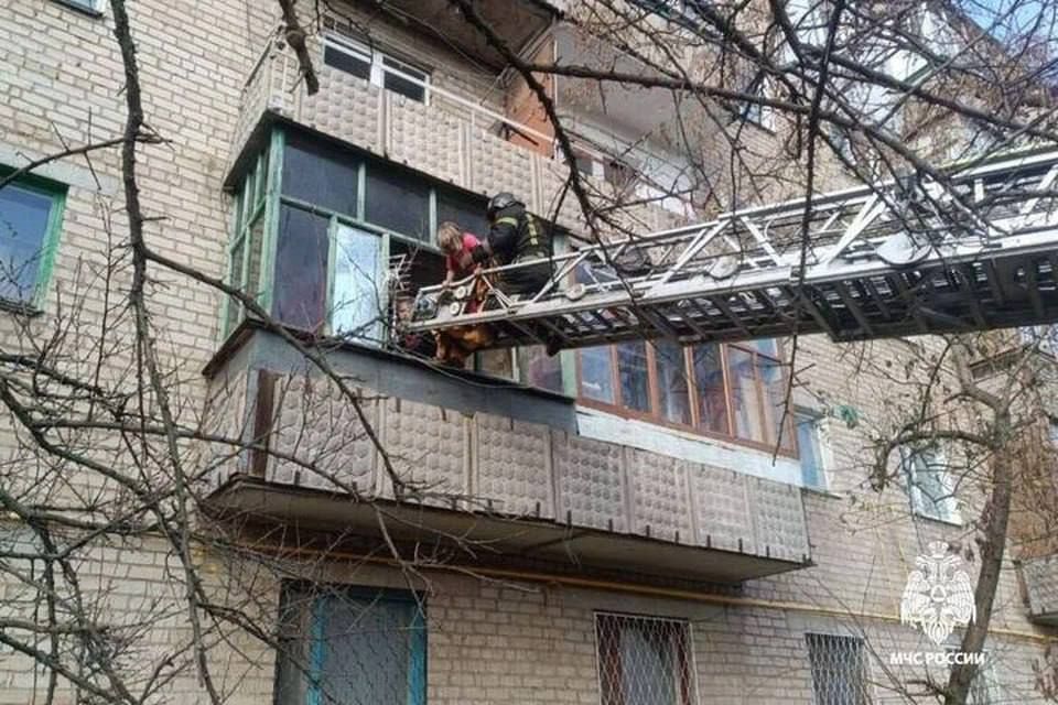 � ���������� ������� ������ ����� �� ����� ������