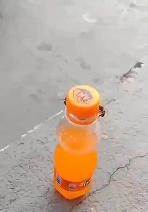 ��������� ������. ��� � ������� ���� ������ �����