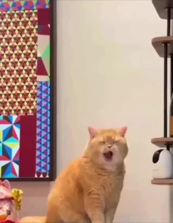 ������ ���� ������� ������������!