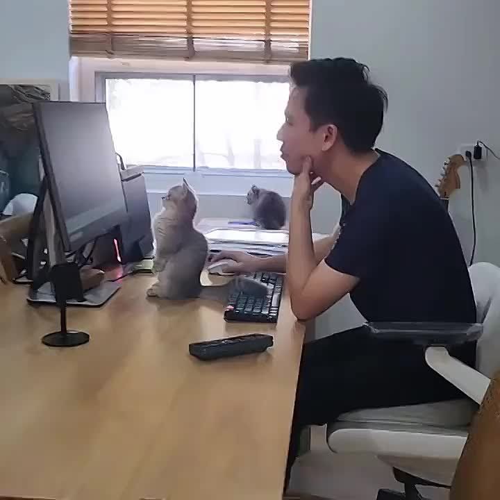 ������� �������� ��������� ������