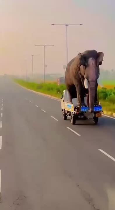 ������ ������: ���� ������ �� ������� �� �������