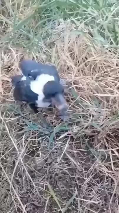 ����� ������ ������ � ����� ������������ � ������ ������ �� ������ ������