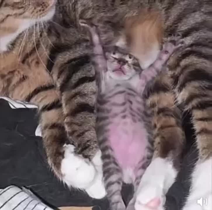 ������ ���� ������� ������������!