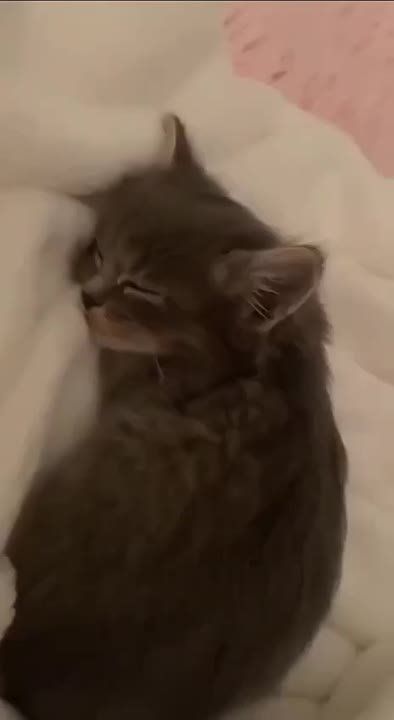 ������ ���� ������� ������������!