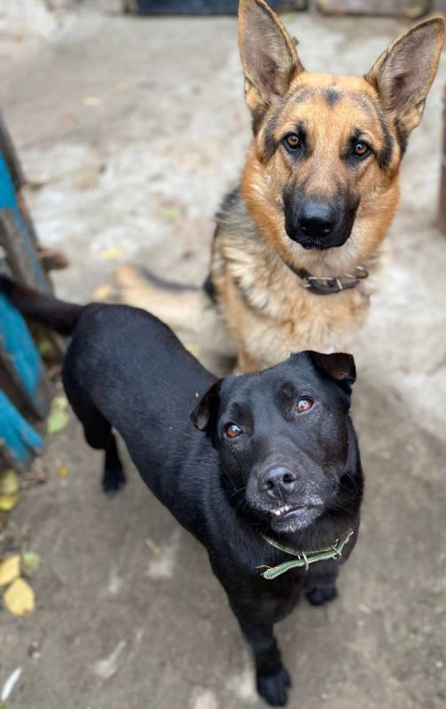 ������ ������: ������� ���� ��� ������ ���������� ��������� ���� � ����� �� �������!