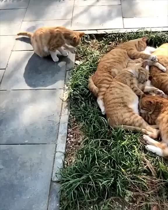 ������ ���� ������� ������������!