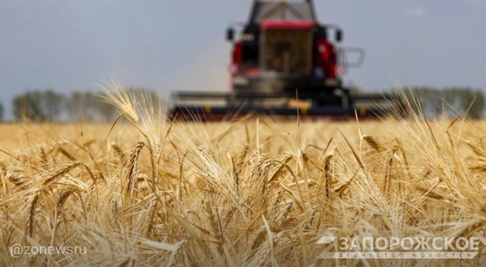 ����������� ������� � ������ ���� �������������� ����� 1,5 ��� ���� �����