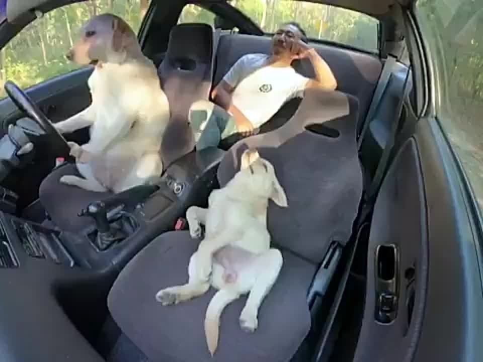 ����, ���-�� ��� �� ����� ����� �� ����� �� ��������?
