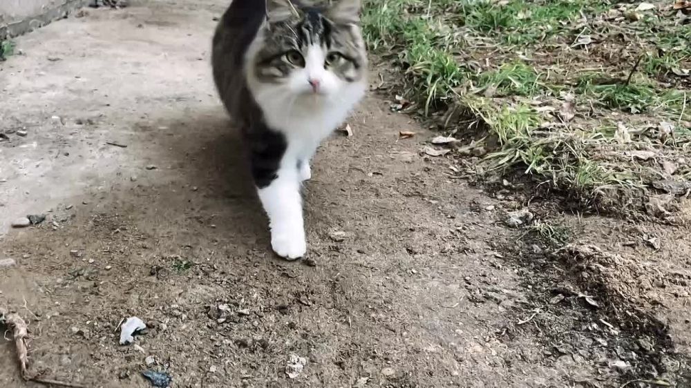 ������ ����. �������� ��� �� ���� ����������� ����������: �� ������ ���� �������� ����� 25 ���� �������������� �� "�������������� �����"
