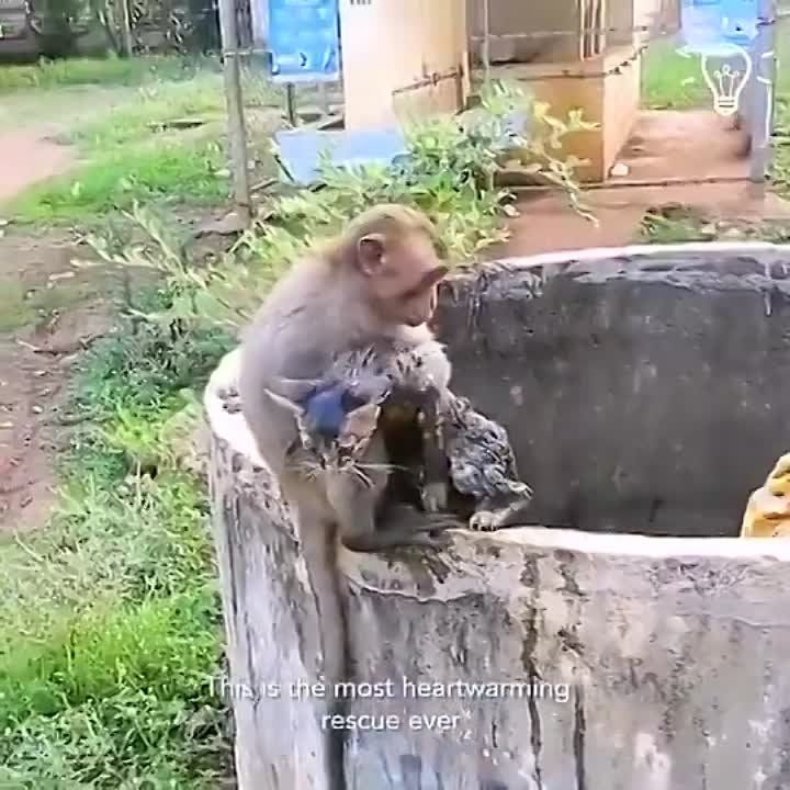 ������������ ��������. ����� ����������