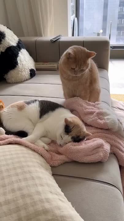 ������� ���� , ������� ������������!