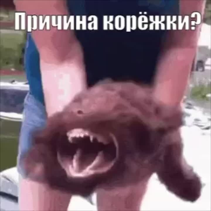 ��� ����� �� ������ ���� � ������� ����������� ��� ������ ��������� ��������� � ��������� ������ � ����