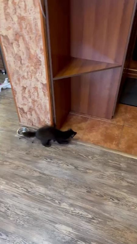 �� ����� � ��� ���� ����, �� � ������ ��� ����!
