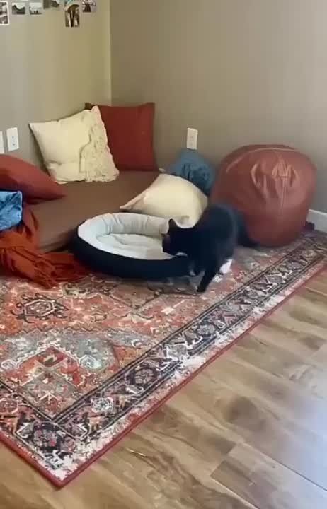 ������ ���� ������� ������������!