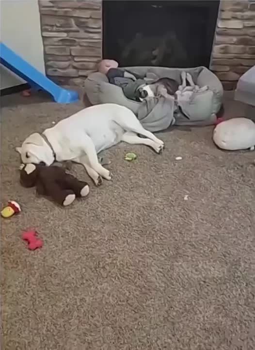 ������ ���� ������� ������������!