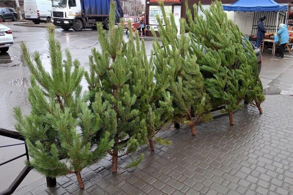������� ������ � ����������: ������ � ����